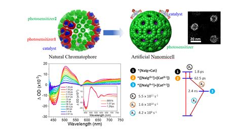  Nanocrystalline Titanium Dioxide: A Shining Star for Photocatalysis and Solar Energy Conversion?